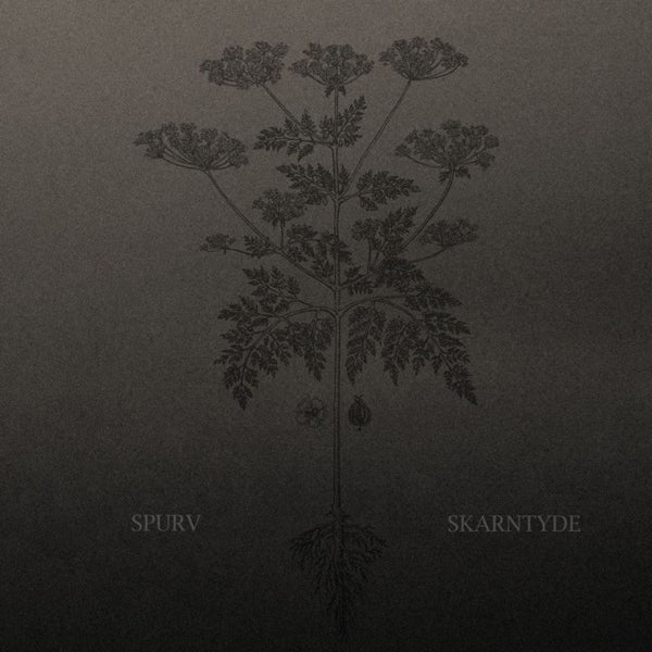 Spurv - Skarntyde (CD)