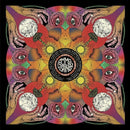 Common Saints - Idol eyes (12-inch) - Discords.nl