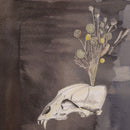 Steve Gunn & Black Twig Pickers - Seasonal hire (LP) - Discords.nl