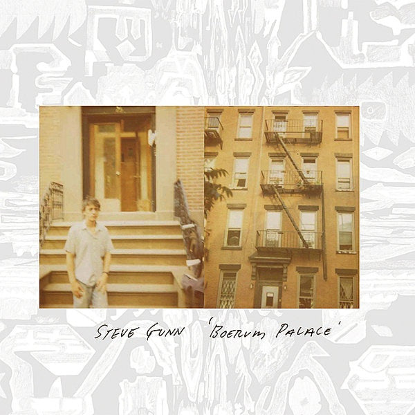 Steve Gunn - Boerum palace (LP) - Discords.nl