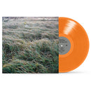 Steve Gunn - Music for writers (LP)