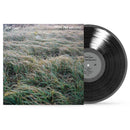 Steve Gunn - Music for writers (LP)