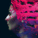 Steven Wilson - Hand Cannot Erase  (LP) - Discords.nl