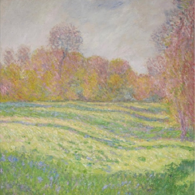 Strawberry Guy - Sun outside my window (CD) - Discords.nl