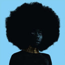 Sudan Archives - Sink (12-inch) - Discords.nl