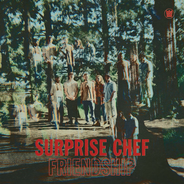 Surprise Chef - Friendship (LP) - Discords.nl