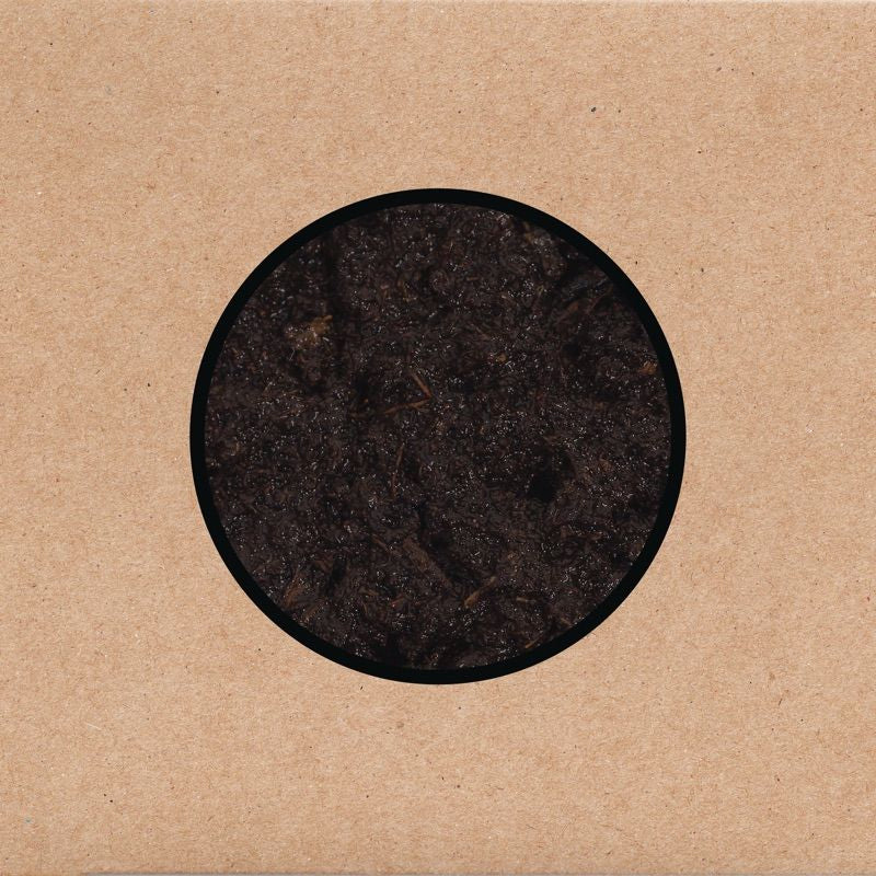 Swans - Birthing (LP) - Discords.nl