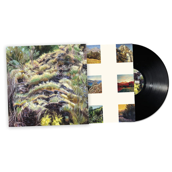 Swim Surreal - In the half light (LP) - Discords.nl