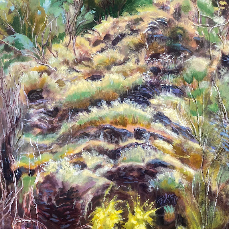 Swim Surreal - In the half light (LP) - Discords.nl