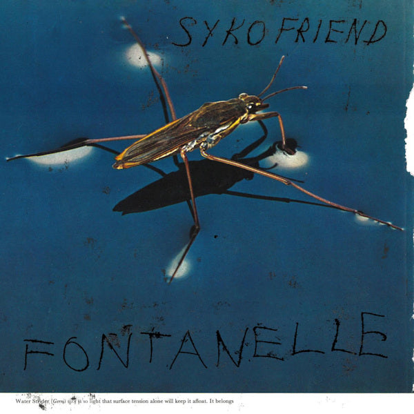 Syko Friend - Fontanelle (LP) - Discords.nl