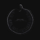 Sylosis - A sign of things to come (LP) - Discords.nl