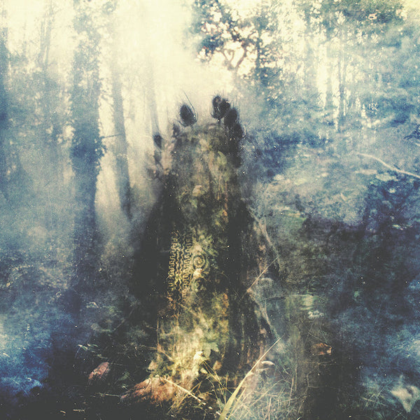 Sylvaine - Wistful (CD) - Discords.nl