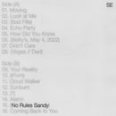 Sylvan Esso - No rules sandy (CD) - Discords.nl