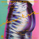 Herman Brood & His Wild Romance - Shpritsz (LP Tweedehands)