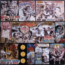 New Riders Of The Purple Sage - The Adventures Of Panama Red (LP Tweedehands) - Discords.nl