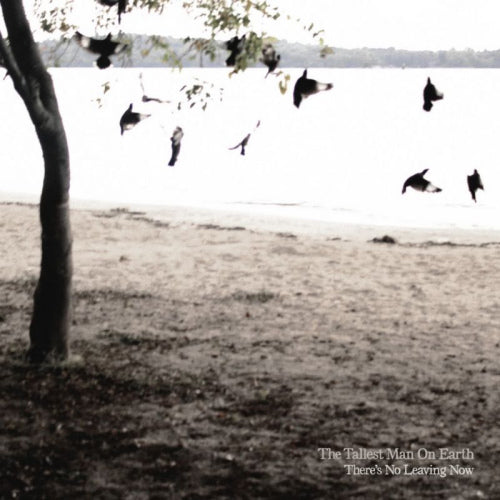 Tallest Man On Earth - There's no leaving now (CD) - Discords.nl