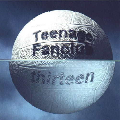 Teenage Fanclub - Thirteen (LP) - Discords.nl