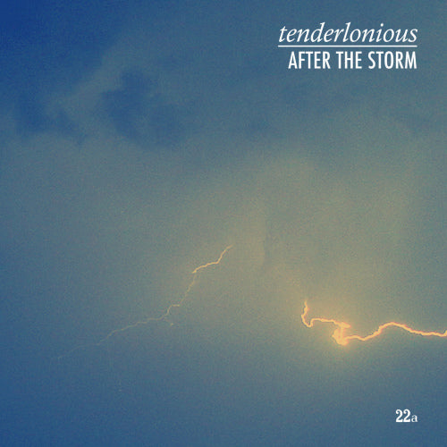 Tenderlonious - After the storm (12-inch)