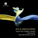 Alexander Fiterstein - Joy & desolation (CD) - Discords.nl