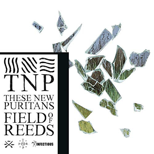 These New Puritans - Field of reeds (CD) - Discords.nl