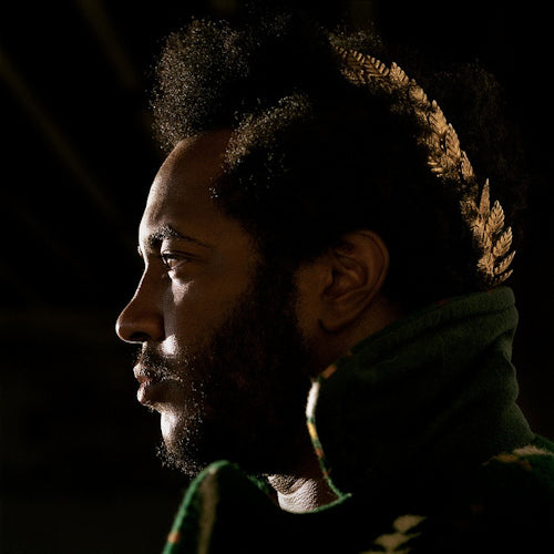 Thundercat - Apocalypse (LP) - Discords.nl