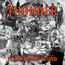 Thunder - Please remain seated (LP) - Discords.nl