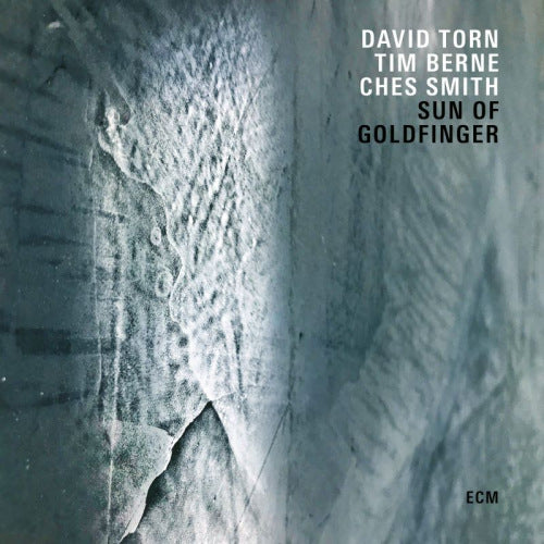 David Torn & Tim Berne & Ches Smith - Sun of goldfinger (LP) - Discords.nl
