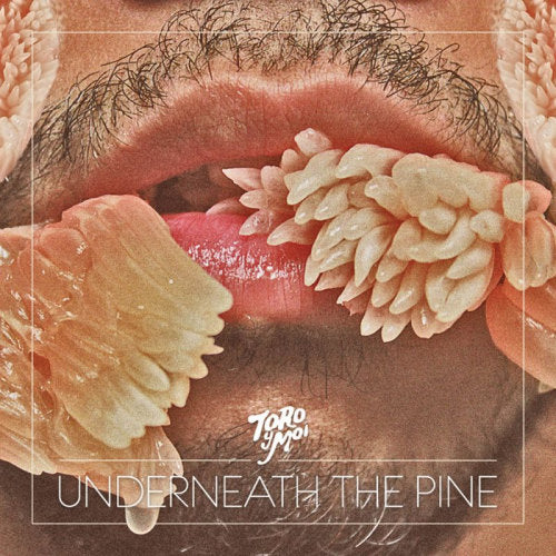Toro Y Moi - Underneath the pine (CD) - Discords.nl