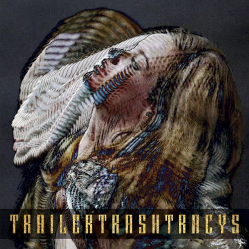 Trailer Trash Tracys - Ester (CD) - Discords.nl