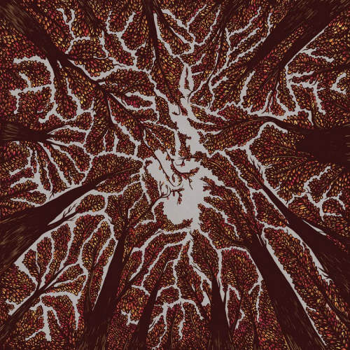 Trash Boat - Crown shyness (CD) - Discords.nl