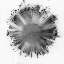 Trentemoller - Obverse (LP) - Discords.nl