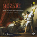Wolfgang Amadeus Mozart - Divertimenti kv439b vol.2 (CD) - Discords.nl