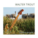 Walter Trout - Common ground (CD) - Discords.nl