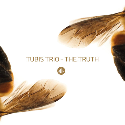 Tubis Trio - Truth (CD) - Discords.nl