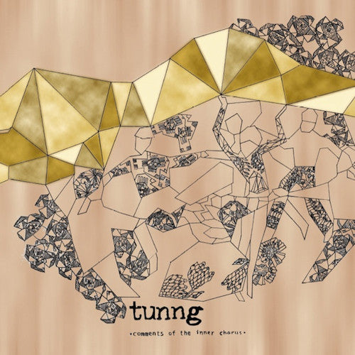 Tunng - Comments of the inner chorus (CD) - Discords.nl