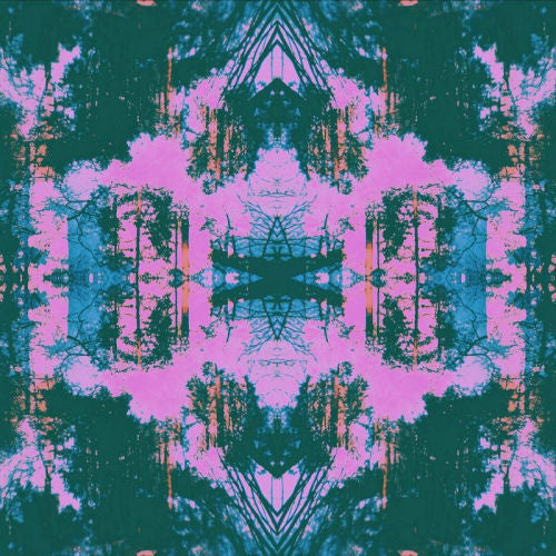 Tusks - Dissolve (CD) - Discords.nl
