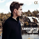 Andrew Tyson - Landscapes (CD) - Discords.nl