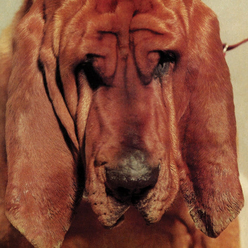 Ty Segall - Goodbye bread (CD) - Discords.nl