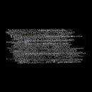 Ty Segall - Ty rex (CD) - Discords.nl