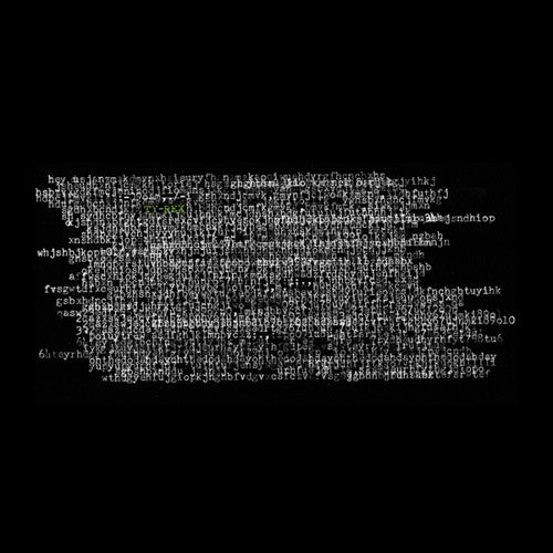 Ty Segall - Ty rex (CD) - Discords.nl