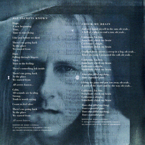 Alice In Chains - Black Gives Way To Blue (CD Tweedehands)