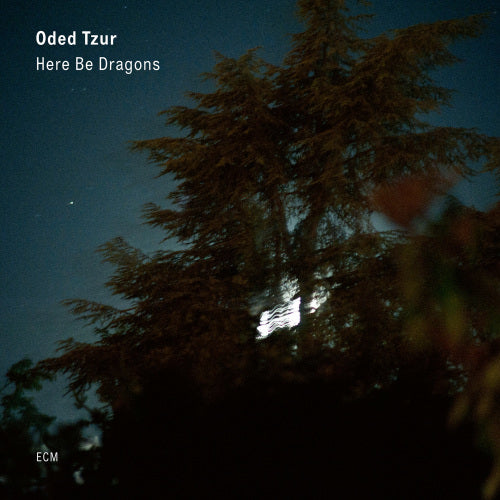 Oded Tzur - Here be dragons (LP) - Discords.nl