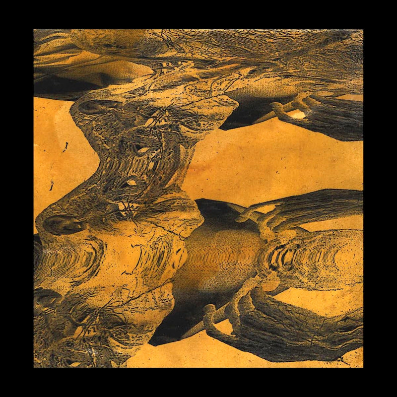 Tashi Dorji - Tashi dorji (LP) - Discords.nl