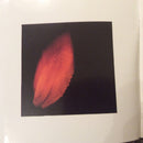 Peter Gabriel - Shaking The Tree: Sixteen Golden Greats (CD Tweedehands) - Discords.nl