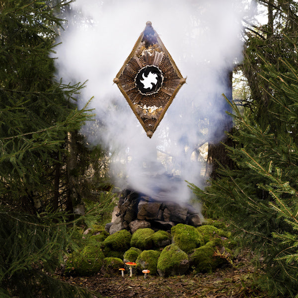 Teea Aarnio - Vaki (LP) - Discords.nl