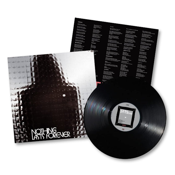 Teenage Fanclub - Nothing lasts forever (LP) - Discords.nl