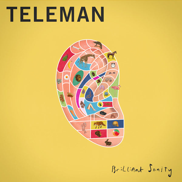 Teleman - Brilliant sanity (CD) - Discords.nl