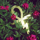 Temples - Paraphernalia (7-inch single) - Discords.nl