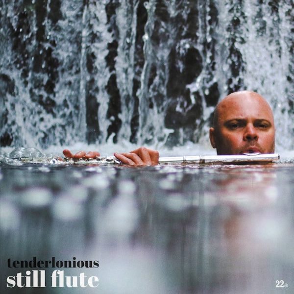 Tenderlonious - Still flute (LP) - Discords.nl