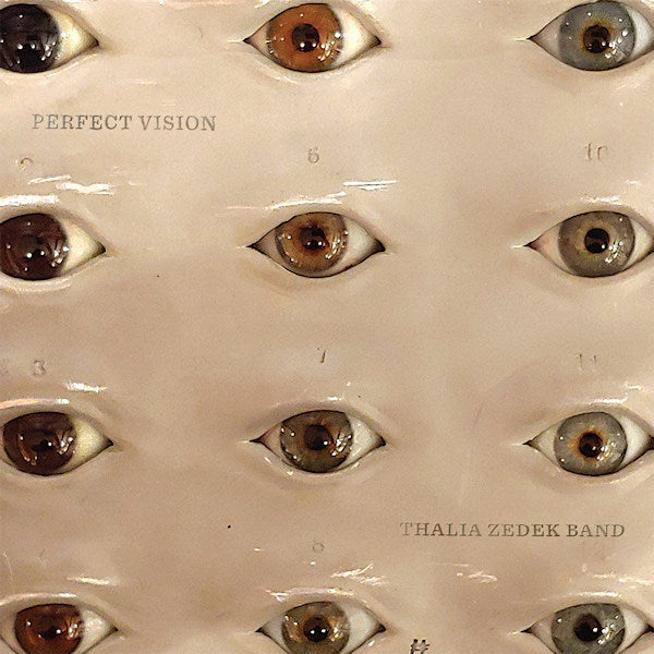 Thalia Zedek -band- - Perfect vision (LP) - Discords.nl